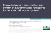 Characterization, inactivation, and control of …...Characterization, inactivation, and control of Extraintestinal Pathogenic Escherichia coli in poultry meat Christopher H. Sommers,