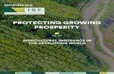 PROTECTING GROWING PROSPERITY - RAFLearning...professionalization and modern technologies such as improved seeds, mechanization, irrigation, etc. But the high prevalence of these ‘occasional’