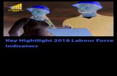 Key Highlights of the Namibia Report · Key Highlights of the Namibia Labour Force Survey 2018 Report. Namibia Statistics Agency, Windhoek. Namibia Statistics Agency (NSA) March 2019.