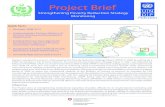 Project Brief - UNDP · 2019-10-08 · The project is currently supporting the provincial governments in the development of MDG Acceleration Frameworks (MAFs) for Pakistan. These