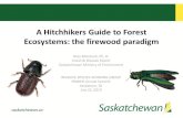 Firewood as Pathway: Invasive tree pests, campaign overview … · The Global Village • International trade major source of bioinvasion • Forests in Canada are increasingly at