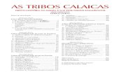 AS TRIBOS CALAICAS PROTO-briogaledon.files.wordpress.com/2016/05/tribosunificadopararede.pdfas tribos calaicas PROTO- PROTO ---HISTÓRIA DA GALIZAHISTÓRIA DA GALIZAHISTÓRIA DA GALIZA