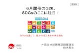 SDGsのここに注目！ - IGES...2019/02/25  · 2019年G20大阪サミット概要 3．出席国・国際機関：G20メンバーに加え，大阪サミットの優先議題や，これまでのG20への貢献も踏まえ，総合的に検討した結果，以下の国・国際機関を招待。招待国【計8か国】スペイン，シンガポール，タイ（ASEAN議長国），エジプト（AU議長国），