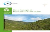 Bois-Energie etuicn-france.fr/wp-content/uploads/2016/06/Energies... · 2016-06-29 · me) - SEQUE-WEILL Alice (communes forestières) - MARCHAL Didier (ValBiom) - ORAZIO Christophe