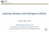 Learning, Memory, and Intelligence Effects · Learning, Memory, and Intelligence Effects Animal Data • Bodies of evidence – Initial time period: 7 studies – Intermediate time