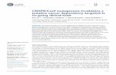CRISPR/Cas9 mutagenesis invalidates a putative cancer ...repository.cshl.edu/34297/1/Sheltzer 2017.pdf · Here, we report that mutagenizing MELK with CRISPR/Cas9 has no effect on