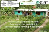 Innovation platforms at work: Supporting the transition to … · 2017-09-15 · •Innovation platforms at work: Supporting the transition to agroecological farming in Nicaragua