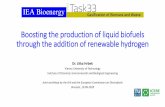 Boosting the production of liquid biofuels through the ... · •SP7: Biomass and waste gasification status report •SP8: Biomass gasification history and lessons learned •SP9: