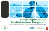 Rural Agriculture Revitalisation Program - SNV · Horticulture Sub-Sector The Fruit and Vegetable Value Chain 6.1 The Fruit and Vegetable Value Chains 6.2 Crop Production and Input