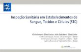Inspeção Sanitária em Estabelecimentos de Sangue, Tecidos ...€¦ · Inspeção Sanitária em Estabelecimentos de Sangue, Tecidos e Células (STC) Christiane da Silva Costa e