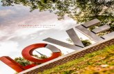 LYNCHBURG COLLEGE · 2017-04-05 · 2 Annual Report 32015-16 Annual Report Whether your giving to Lynchburg College is inspired by personal love for this community, by the experiences