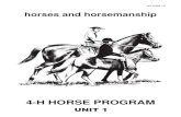 4-H HORSE PROGRAM - Iowa State University€¦ · Spotted. The secondary color Saddle horses, Stock Animals under 14.2 hands. animals of Hackney must not be less than 10%, horses,