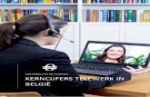 FOD MOBILITEIT EN VERVOER KERNCIJFERS TELEWERK IN BELGIË · 2 Telewerk heeft een beduidende invloed op de mobiliteit 2.1 Vandaag doet 17% van de werkenden aan telewerk Momenteel