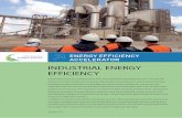 INDUSTRIAL ENERGY APPLIANCES EFFICIENCY AND EQUIPMENT · 2016-12-19 · Development (WBCSD), International Partnership for Energy E˚ ciency Cooperation (IPEEC), Clean Energy Ministerial