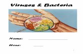 Viruses & Bacteriaihdream.weebly.com/.../virus__bacteria_packet_2013.pdfViruses Bacteria virus host parasite vaccine bacteria cytoplasm ribosome flagellum cellular respiration binary