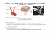Putting the STAT in Statin: The Potential Role of Statins ... · Pre-stroke statin use among patient with ischemic stroke in AF is associated with a 32% reduction in the risk of the