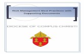 DIOCESE OF CORPUS CHRISTI€¦ · Lightning Risk Assessment Guide Power Interrup on Pre‐Planning Awareness Reduc on of Lightning Exposure Safety and Survival in an Earthquake Other