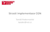 Strasti implementace CGN - CESNET€¦ · Strasti implementace CGN Tomáš Podermaoski tpoder@vut.cz . Title: Strasti implementace CGN Author: Tomas Podermanski Created Date: 6/7/2016