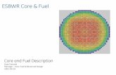 ESBWR Core & Fuel · • Reactor core characteristics interact with recirculation loop > Core pressure drop and vessel height affects core flow > Fuel design and power density affect