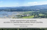 Carbon sequestration and sediment accretion in Cowichan Bay … · 2020-06-28 · 2. Estimate sediment accretion rate of estuary (210Pb in cores from various locations) 3. Determine