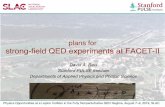 plans for strong-field QED experiments at FACET-II€¦ · Institute #1 #4 #1 R. #4 R. ™ ™ plans for strong-field QED experiments at FACET-II David A. Reis Stanford PULSE Institute