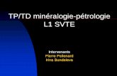 TP/TD minéralogie-pétrologie L1 SVTE · 2020-03-18 · Progression des séances TD/TP1 (semaine 9) : Minéralogie descriptive (les formes cristallines, les propriétés macroscopiques