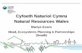 Cyfoeth Naturiol Cymru Natural Resources Wales · Mike Evans Head of Sustainable Communities Rhian Jardine Head of Flood & Operational Risk Management Jeremy Parr Head of Enterprise