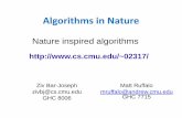 Algorithms in Nature02317/slides/lec1.pdf · Class overview • 2 problem sets • Project (and poster) ... offspring • Populations adapt to their environment. Variations accumulate