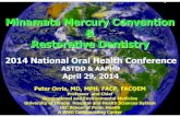 Minamata Mercury Convention Restorative Dentistry · 2014-06-17 · Minamata Mercury Convention & Restorative Dentistry Peter Orris, MD, MPH, FACP, FACOEM Professor and Chief Occupational