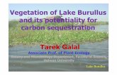 Vegetation of Lake Burullus and its potentiality for …...Tarek Galal Associate Prof. of Plant Ecology Botany and Microbiology Department, Faculty of Science, HelwanUniversity Lake