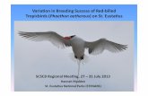 Varia%on(in(Breeding(Success(of(Red3billed( Tropicbirds ......Future(Plans( !Inves%gate!egg!loss!at!one!site!(Pilot!Hill)!in!2014!! !Possible!diet!study!in!collabora%on!with!IMARES!
