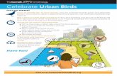 Urban Birds Celebrate · June, 2016 Let’s get started! Have fun! How do urban birds use green spaces? Help us find out. It’s easy, fun, and quick! 1. Pick a location to watch