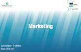 Marketing - DANVA · Social media IWA WORLD WATER CONGRESS AND EXHIBITION 2020 Danish stakeholders. A Toolbox for promotion materials PPT Brochure Roll-ups Case stories Input and