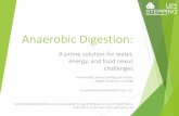 Anaerobic Digestion - Energy and Resource Research | Premier Research Centre | Centre for Sustainable Energy … · Anaerobic Digestion: A prime solution for water, energy, and food