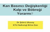 Kan Basıncı Değişkenliği Kalp ve Böbreği Yorarmı? · Sistolik KBD ‘i mikroalbuminüri gelişiminin belirtecidir Noshad S, Mousavizadeh M, Mozafari M, Nakhjavani M and Esteghamati