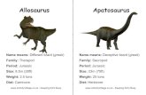 dinosaur-flashcards-information - ActivityVillageTriceratops Name means: Three Horned Face (greek) Family: Ceratopian . Title: dinosaur-flashcards-information Author: Capital1 Created