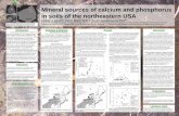 Mineral sources of calcium and phosphorus in soils of the ...€¦ · Mineral sources of calcium and phosphorus in soils of the northeastern USA Carmen A. Nezat1,2, Joel D. Blum1,