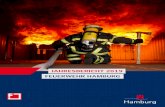 JAHRESBERICHT 2019 FEUERWEHR HAMBURG...Feuerwehr Hamburg – Jahresbericht 2019 3 Inhaltsverzeichnis 1 Statistik gemäß Standard der Arbeitsgemeinschaft der Leiter der 1.1 Aufgaben