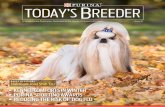 Today's Breeder - Issue 91 | Purina Pro Club · 2018-12-13 · dog, and Davern pointed to Ghita. The Best of Breed winner simultaneously was awarded the Helen Ginnel Memorial Membership