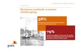 Business outlook remains challenging Pulse/PwC... · 2016-09-13 · Business outlook remains challenging PwC PNG Business Barometer Survey 58% of businesses surveyed experienced negative