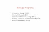 Biology Programs - SIUE · PDF file At least 1 course from the following list: BIOL 319 BIOL 335 BIOL 337 BIOL 350 BIOL 415 BIOL 416 BIOL 421 BIOL 422 BIOL 451 BIOL 467 BIOL 472 Chemistry
