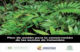 Plan de acción para la conservación de las zamias de Colombia · de especies de Cycadales están en riesgo de extinción por destrucción y degradación de su hábitat y en algunos