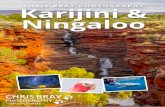 CHRIS BRAY PHOTOGRAPHY Karijini & Ningaloo · Pilbara landscapes to the coast near Exmouth for 3 nights at Mantarays ... Oxer lookout, an awesome vantage point that reveals the true