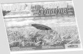 із січня 2004 року 2 рази на місяцьelibrary.kubg.edu.ua/13301/1/gazeta.pdf · погода чи яким буде врожай. Радіймо ж першим