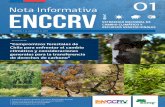 Nota Informativa 01 ENCCRV...energías renovables y uso de la tierra, cambio del uso de la tierra y bosques serán el foco principal de las medidas nacionales apropiadas de mitigación”.