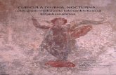 CUBICULA DIURNA, NOCTURNA– · C. Tutkimuskirjallisuus ja hakuteokset 108 LIITTEET 111 Kannen kuva: Tiina Tuukkanen / EPUH 2. 1. Alkusanat Vierailtuani muutaman kerran Pompejissa