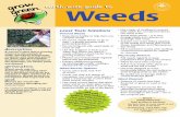 earth-wise guide toearth-wise guide to Weeds · 2020-02-20 · weeds will have a much harder time growing without water • Monitor and remove weeds regularly before they get established