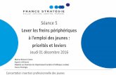 Séance 5 - strategie.gouv.fr...01 décembre 2016 7 Concertation pour l'insertion professionnelle des jeunes Les freins périphériques à l’emploi : enjeux (1) Les freins périphériques