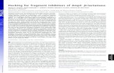 Docking for fragment inhibitors of AmpC -lactamase · Docking for fragment inhibitors of AmpC -lactamase Denise G. Teotico1, Kerim Babaoglu1,2, Gabriel J. Rocklin, Rafaela S. Ferreira,