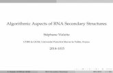 Algorithmic Aspects of RNA Secondary Structuresigm.univ-mlv.fr/~vialette/teaching/2014-2015/MPRI/lecture.pdf · Introduction Digression: BioPython The Biopython Project is an international